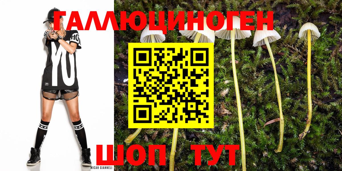 Псилоцибиновые грибы Psilocybine cubensis Оренбург